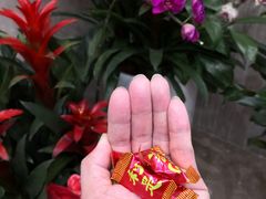-深圳富临大酒店