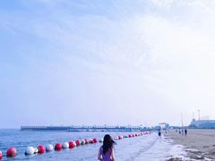 -碧海金沙
