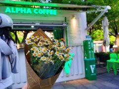 -ALPHA COFFEE阿尔法咖啡(虹莘路店)