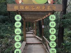 -大岭沟猕猴桃谷风景区