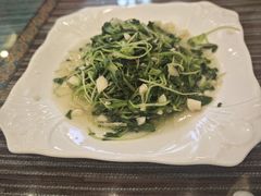 清炒灵芝菜-自游人·美食一楼·地道徽菜(三十年名店)