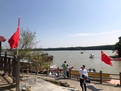 -上海海湾国家森林公园