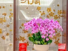 -明阁 Ming Court(广州朗豪酒店)