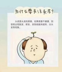 -木北造型