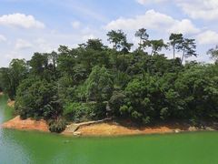 -广州市流溪河国家森林公园