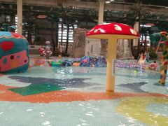 -南宫温泉水世界