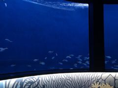 -沈阳海洋探索中心