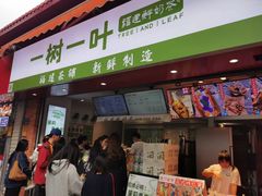 -一树一叶·福建茶档(石鼓路店)