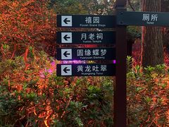 -杭州黄龙洞