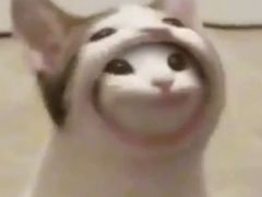 -海底捞火锅(老城根店)