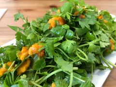 -海胆小馆(东北水饺·春柳店)