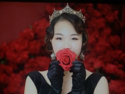 点击看大图 -金夫人婚纱摄影(华南店)