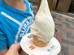 -野人先生现做冰淇淋(北京顺义祥云小镇店)