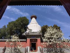 -妙应寺白塔
