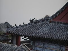 -泰山风景名胜区