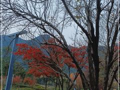 -贵阳市花溪国家城市湿地公园