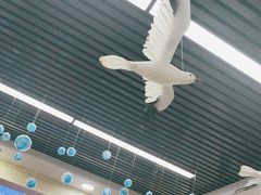 -日照大牌檔•小船海鲜(万平口店)
