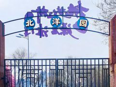 -桃花堤公园