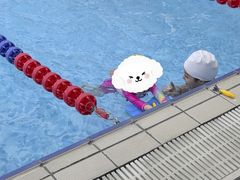 -鲸灵公元游泳中心