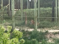 -青藏高原野生动物园
