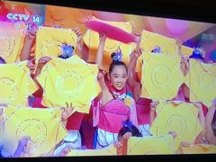 -梧桐花语舞蹈培训中心(潞城校区)