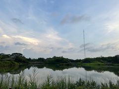 -福田红树林生态公园