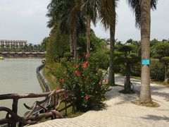 -揭东万竹园旅游景区