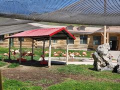 -哈尔滨北方森林动物园