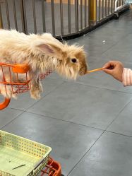 -Moni星球萌宠·小马宝莉·灵蛇·高端高阶全萌宠互动体验俱乐部(红豆国际广场店)