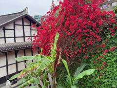-燊海井