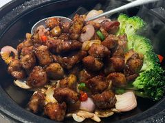 -院里寻菜·精致庭院菜(观沙岭店)