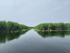 -白洋淀风景区