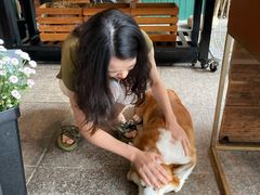 -771餐吧·咖啡·西餐·烤肉(金湖广场店)