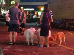 -招商银行(深圳东滨支行)