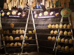 -都念榴莲·城市榴莲