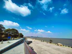 -上海滨江森林公园