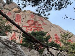 -崂山仰口游览区