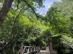 -白云源风景区