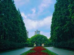 -Feiyue飞跃(长乐路店)