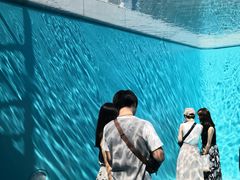-金泽21世纪美术馆