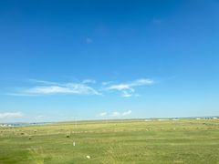 -弓二莜面(总店)