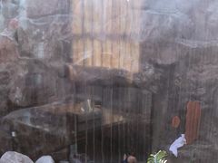 -裕龙汤泉
