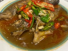 -呼吸森林·生态农庄农家乐私房菜