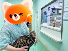 -北京观赏动物医院·24小时大型综合·猫专科·异宠专科