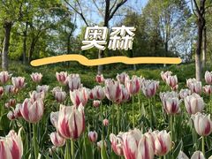 -北京奥林匹克公园
