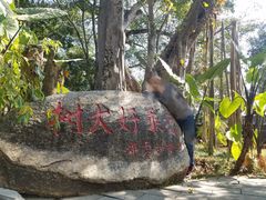 -瑞丽独树成林风景区