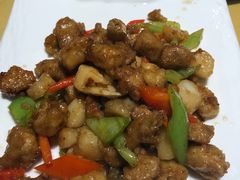 -素虎小呆鸟(西二旗店)