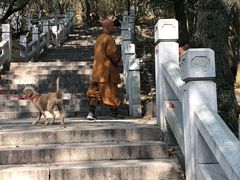 -灵岩山风景区