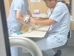 -谐和益家动物医院·免疫绝育·血液透析·宠保定点医院(高新伊藤分院)