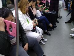 -高庙村(地铁站)